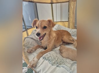 Wanda,Kleine Herzensbrecherin mit großem Mama-Herz sucht ihr Glück!