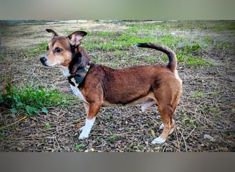 Turbo, hat seine Familie verloren