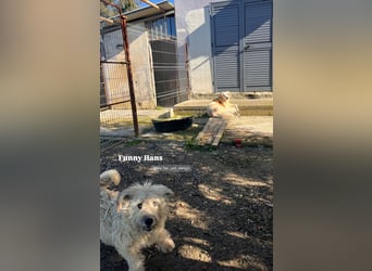 Hans (6) sucht ein gemütliches Plätzchen