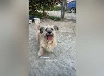 Hans (6) sucht ein gemütliches Plätzchen