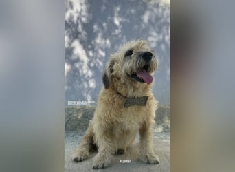 Hans (6) sucht ein gemütliches Plätzchen