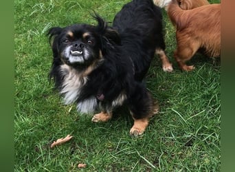 Nannos Charme muss man einfach erliegen! (15345 Reichenow-Möglin)