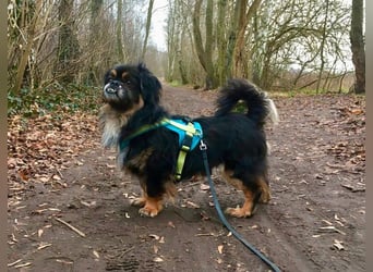 Nannos Charme muss man einfach erliegen! (15345 Reichenow-Möglin)