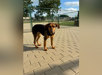 Zarte Hazel wartet so dringend