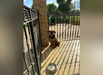 Zarte Hazel wartet so dringend