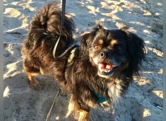 Nannos Charme muss man einfach erliegen! (15345 Reichenow-Möglin)