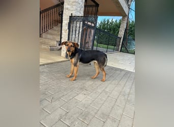 Zarte Hazel wartet so dringend
