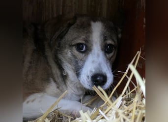 schüchterne JUDY sucht vertrauensvolle Umgebung