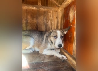 schüchterne JUDY sucht vertrauensvolle Umgebung