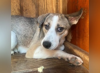 schüchterne JUDY sucht vertrauensvolle Umgebung