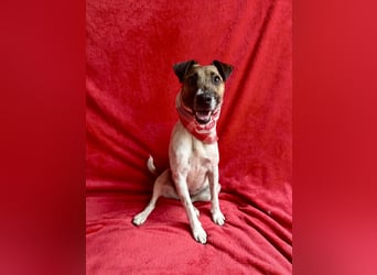 Zena - Fröhliche Abenteurerin auf der Suche nach ihrem Glück