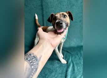 Zena - Fröhliche Abenteurerin auf der Suche nach ihrem Glück