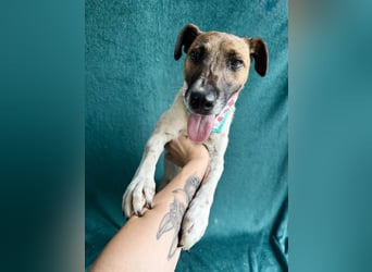 Zena - Fröhliche Abenteurerin auf der Suche nach ihrem Glück