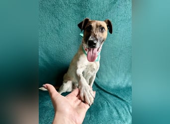 Zena - Fröhliche Abenteurerin auf der Suche nach ihrem Glück