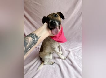 Zena - Fröhliche Abenteurerin auf der Suche nach ihrem Glück