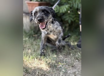 Leoni KK – tapfere Kämpferin sucht ihr Happy End