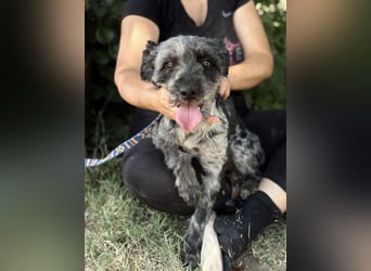 Leoni KK – tapfere Kämpferin sucht ihr Happy End