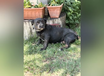 Tanita-KK – zartes Seelchen sucht den Weg ins Glück