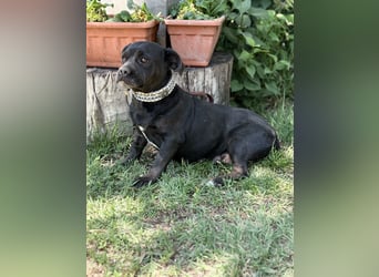 Tanita-KK – zartes Seelchen sucht den Weg ins Glück