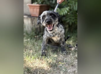 Leoni KK – tapfere Kämpferin sucht ihr Happy End