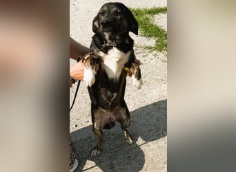 Hübsch - Hübscher - wunderhübsche TESSA