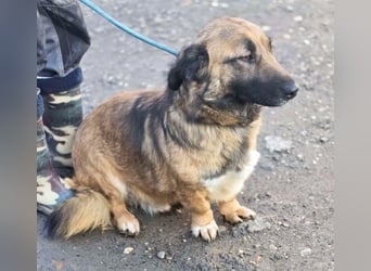 *Fred*kleiner Charmeur sucht das große Glück