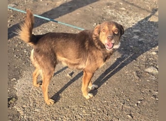 Lucky Boy – macht seinem Namen alle Ehre