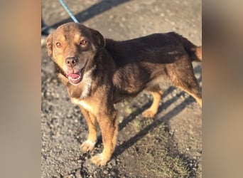 Lucky Boy – macht seinem Namen alle Ehre