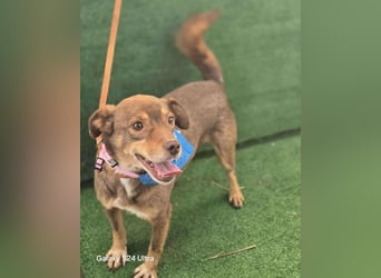 Lucky Boy – macht seinem Namen alle Ehre