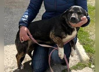 Hübsch - Hübscher - wunderhübsche TESSA