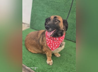 *Fred*kleiner Charmeur sucht das große Glück