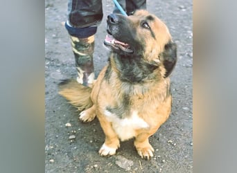 *Fred*kleiner Charmeur sucht das große Glück