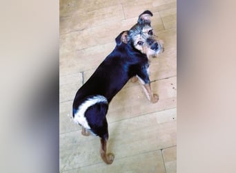 Ein süßer Fratz – das ist EDY