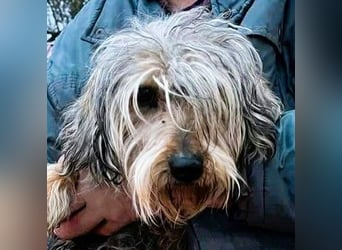 Friedwart – kleiner Herzensbrecher sucht ein Plätzchen