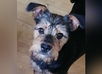 Ein süßer Fratz – das ist EDY