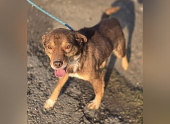 Lucky Boy – macht seinem Namen alle Ehre