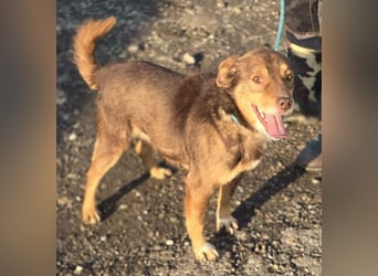 Lucky Boy – macht seinem Namen alle Ehre