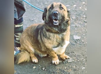 *Fred*kleiner Charmeur sucht das große Glück