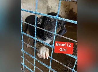 Hübsch - Hübscher - wunderhübsche TESSA