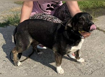 Hübsch - Hübscher - wunderhübsche TESSA