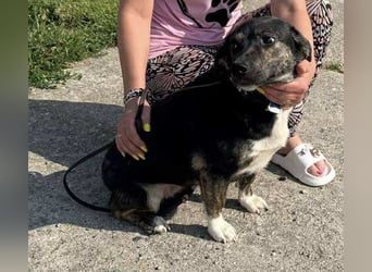 Hübsch - Hübscher - wunderhübsche TESSA