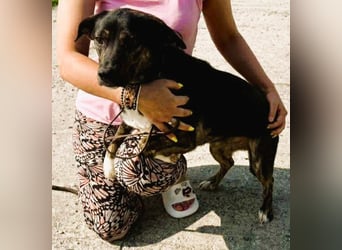 Hübsch - Hübscher - wunderhübsche TESSA