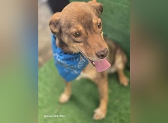 Lucky Boy – macht seinem Namen alle Ehre