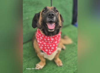 *Fred*kleiner Charmeur sucht das große Glück