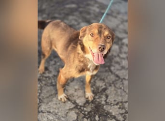 Lucky Boy – macht seinem Namen alle Ehre