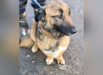 *Fred*kleiner Charmeur sucht das große Glück