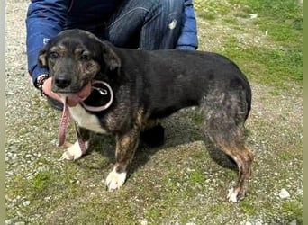 Hübsch - Hübscher - wunderhübsche TESSA