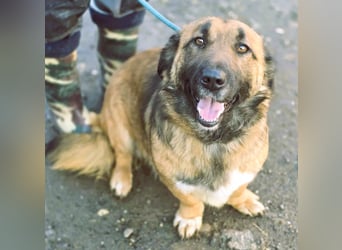 *Fred*kleiner Charmeur sucht das große Glück