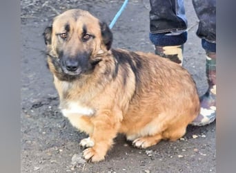 *Fred*kleiner Charmeur sucht das große Glück