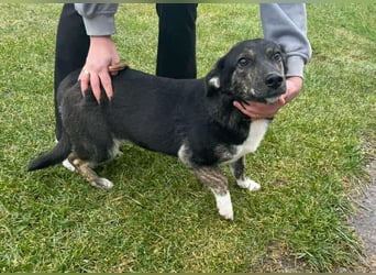 Hübsch - Hübscher - wunderhübsche TESSA